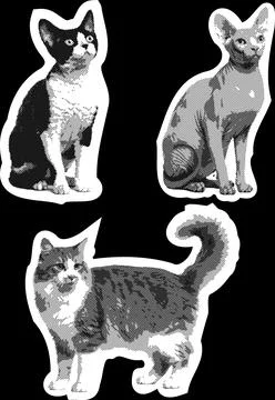 Cat1 Stock Illustration