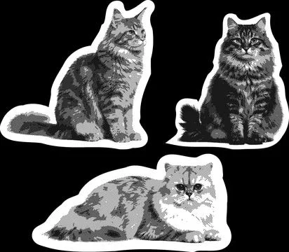 Cat3 Stock Illustration