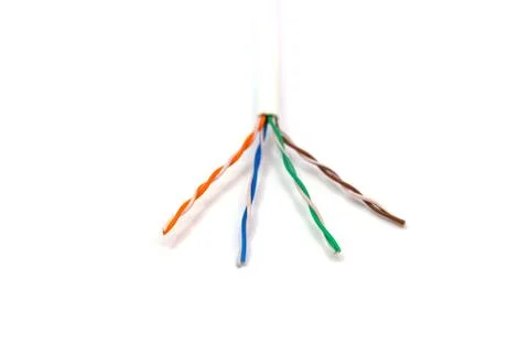 CAT5 Ethernet network Cable 스톡 사진