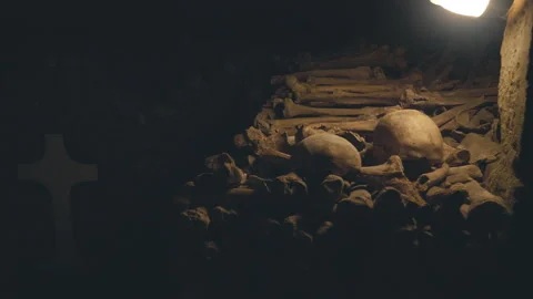 Catacombs 1 Stock Footage 241432499