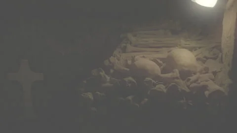 Catacombs 1 RedLog Stock Footage 241432472