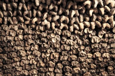 Catacombs of Paris Foto stock