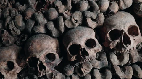 Catacombs of Paris Wall with Row of Human Skulls Tight Close-Up Stock Footage 346920174