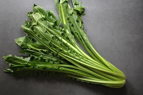 Catalan chicory Stock Photos