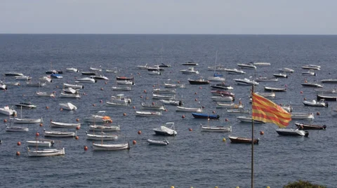 Catalan flag sea 스톡 동영상 55493139