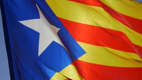 Catalan Flag Waving Stock Footage 80009144