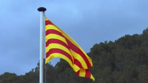 Catalan flag waving in slow motion Stockbeeldmateriaal 161035901