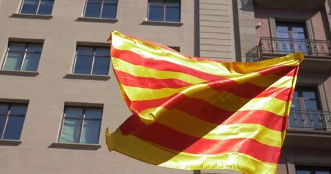 Catalan flags in streets march rally Spain flag Stock Footage 81404013