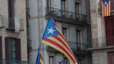 Catalan independence flag . independence demonstration Stock Footage 140058845