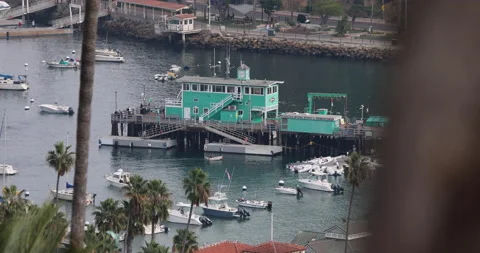 Catalina Island Avalon Pier Action Stock Footage 147281456