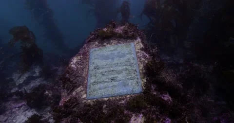 Catalina - Old version of Jacques Cousteau plaque Stock Footage 162801116