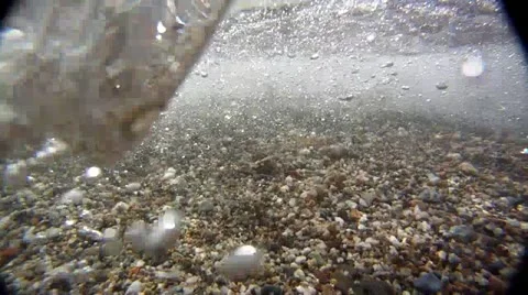 CATALINA UNDERWATER Stock Footage 10855024