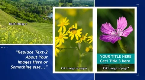 Catalog brochure Stock After Effects