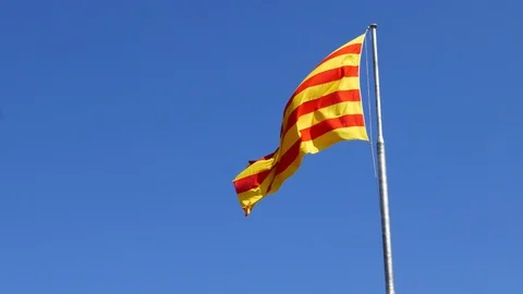 Catalonia Flag waving in wind Stock Footage 99469201
