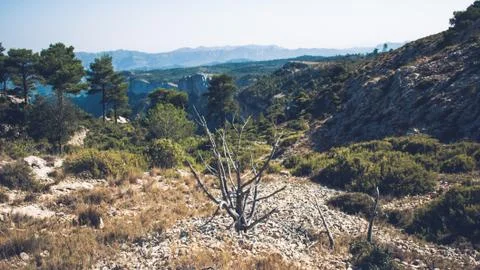 Catalonia mountain range. Stock Photos