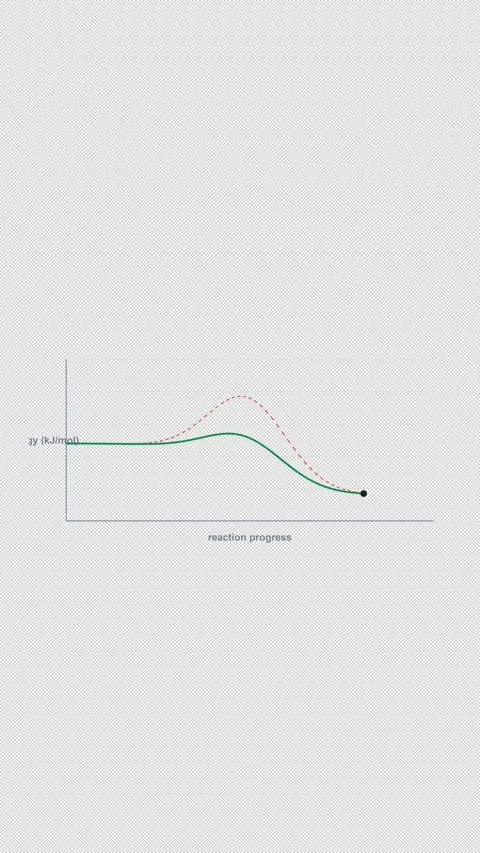 Catalysed Reaction Clean No Text Reaction Energy Diagram 4K Vertical 9x16 Light 스톡 동영상 339493666