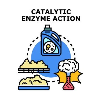 Catalytic enzyme action concept vector illustrating chemical reaction Stock-Illustration