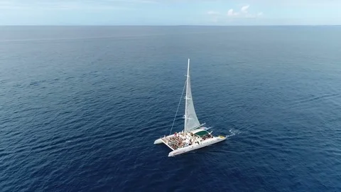 Catamaran on the Blue Sea from a Drone Stock Footage