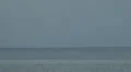 Catamaran crossing from right to left HD Footage