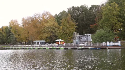 Catamaran dock in the park Stock Footage 45159672
