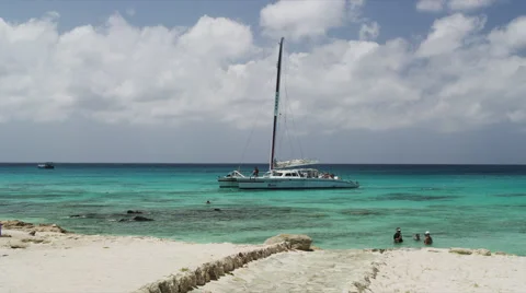 Catamaran in the Green Blue Ocean Stock Footage 52233587