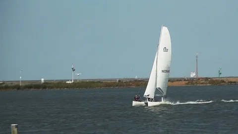 Catamaran on the IJsselmeer. Stock Footage 95436099