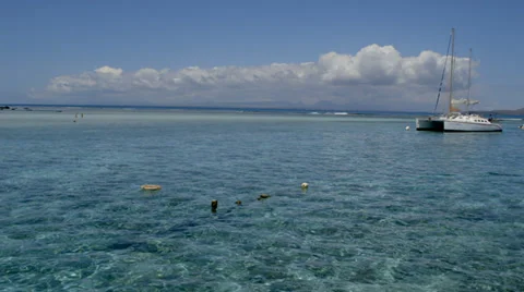 Catamaran in Lagoon Stock Footage 32153709
