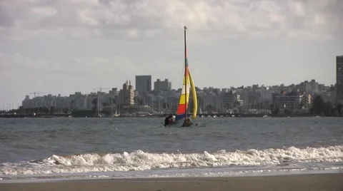 Catamaran multicolor.mp4 Video stock 2902674