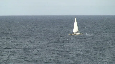 Catamaran: Open Ocean  Stock Footage 458183