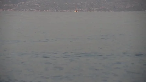 Catamaran passes not far from the coast of Calabria Stock Footage 83216835