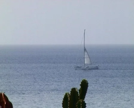 Catamaran sail boat Stock Footage