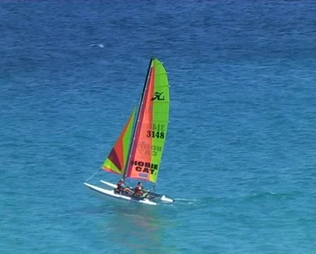 Catamaran sail boat Vídeo Stock 288537