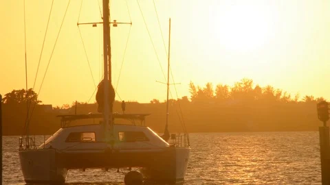 Catamaran sailboat Stock Footage 97134254