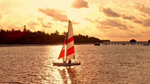 Catamaran sailing against the sunset Video stock 257569636