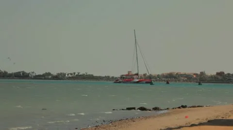 Catamaran sailing into the harbour Stock Footage 22636057