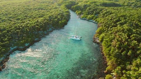 Catamaran sailing on turquoise river through dense tropical jungle Stock Footage 336483847