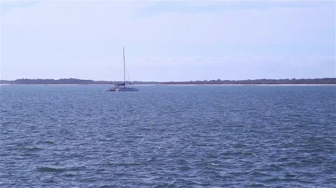 Catamaran in the water Video stock 55491455