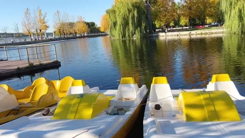 Catamarans on the water Stock Footage 218206940