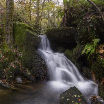 Cataract between mossy rocks Foto stock