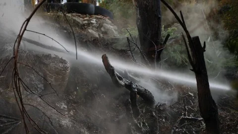 Catastrophic consequences of forest fires. fire extinguishing in the forest, a Stock Footage 81047359
