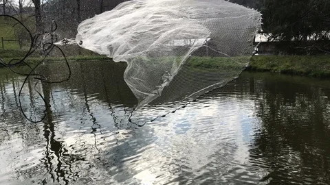 Catch and release Vídeo Stock 88546818