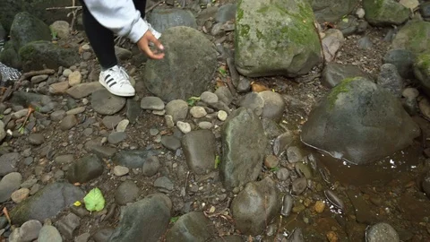 To catch a butterfly Stock Footage 112146586