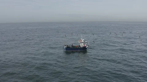 Catch of the day 2  Stock Footage 124222946