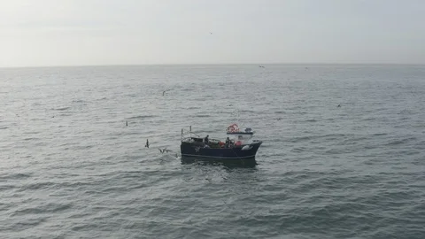 Catch of the Day Stock Footage 124223443