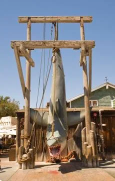 Catch of the day Foto stock