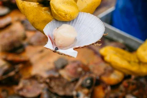 Catch of the day Stock Photos