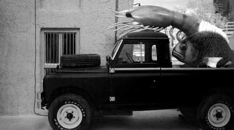 Catch of the day Stock Photos