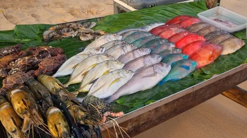 Catch of the day at a Sri Lanka beach seafood market, with different fresh fish Video stock 346251196