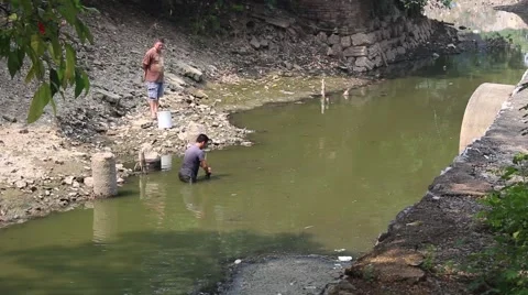 Catch fish in ditch Stock Footage 58625830
