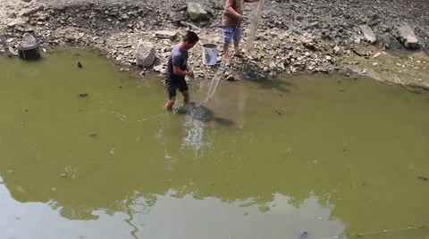 Catch fish in ditch Stock Footage 58625837